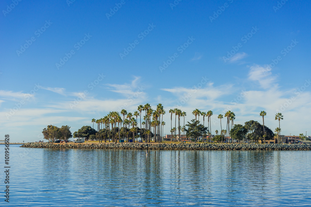 Obraz premium Palm trees on blue sky background