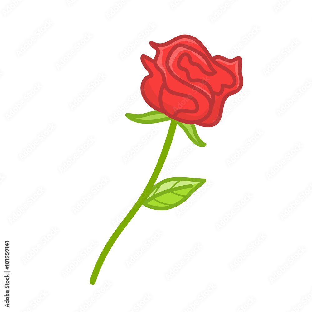 red rose isolated illustration red rose isolated illustration