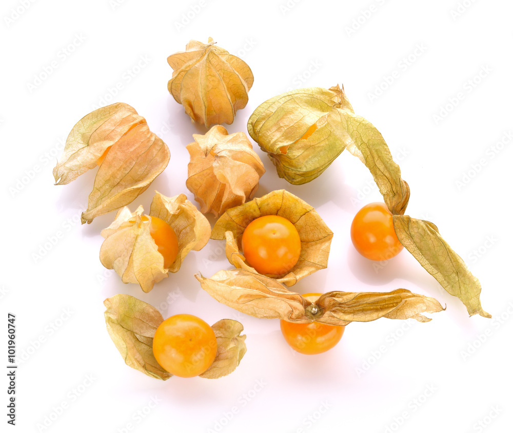 Physalis (gooseberries) on white background Physalis (gooseberries) on white background