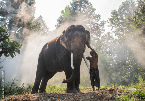 Elephant and mahout at the elephant village.