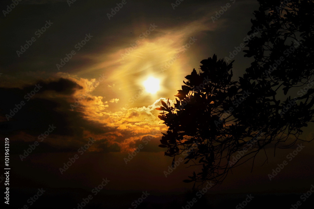 Sunset Sunset