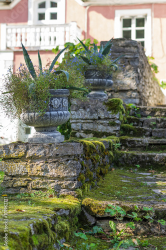 Old mossy stairway with decorative flowerpots