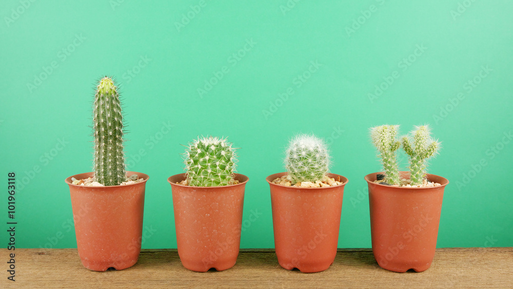 The little green cactus in small brown plant pot on brown wooden planks for home decoration. The little green cactus in small brown plant pot on brown wooden planks for home decoration.