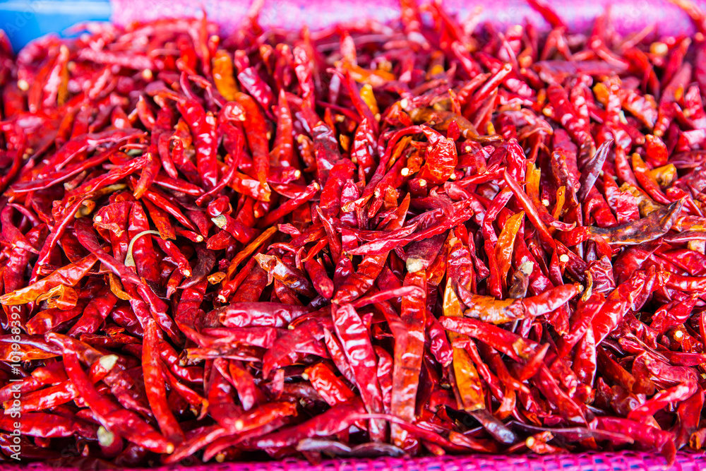 Lot of dried chili as a food background.