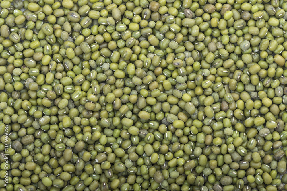 Harvest of mung beans