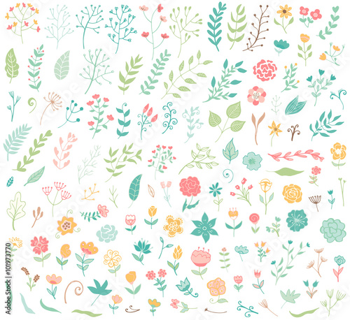 Floral hand drawn vintage set