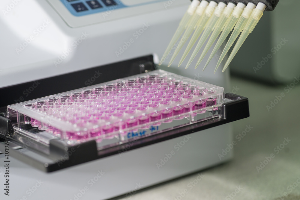 96 well plate on automatic plate reader Stock Photo Adobe Stock
