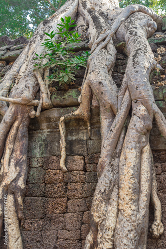 Cambodia, Angkor Archaeological Park