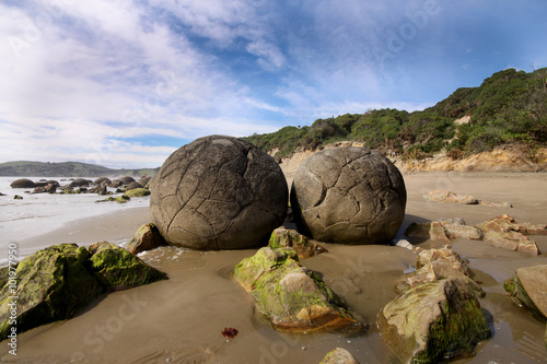 Canvas Print Moeraki boulders remarkable,New Zealand, South Island