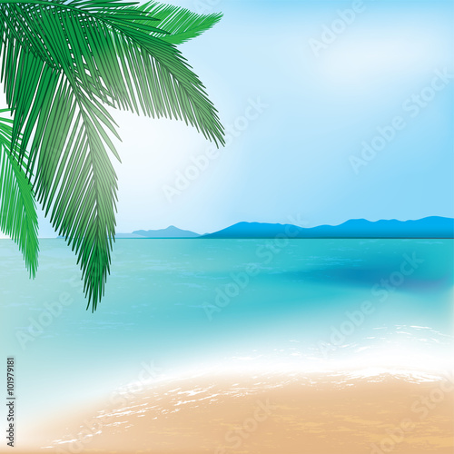 Tropical beach and sea background with palm branch. Vector illustration