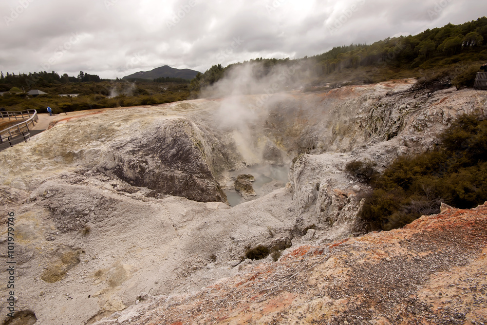 volcanic slopes in Rotorua,New Zealand North Island