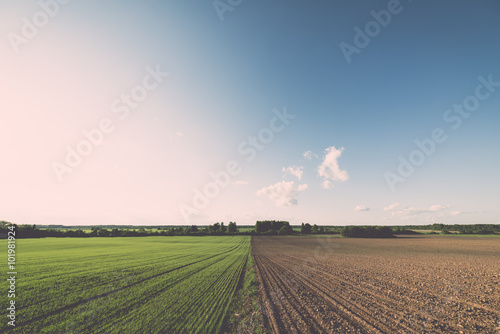 cultivated field and blue sky with sun - vintage effect