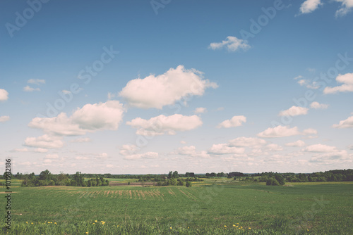 Flower field and blue sky with sun - vintage effect