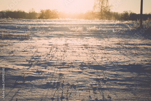 branch in hoar frost on cold morning sunrise - vintage effect to