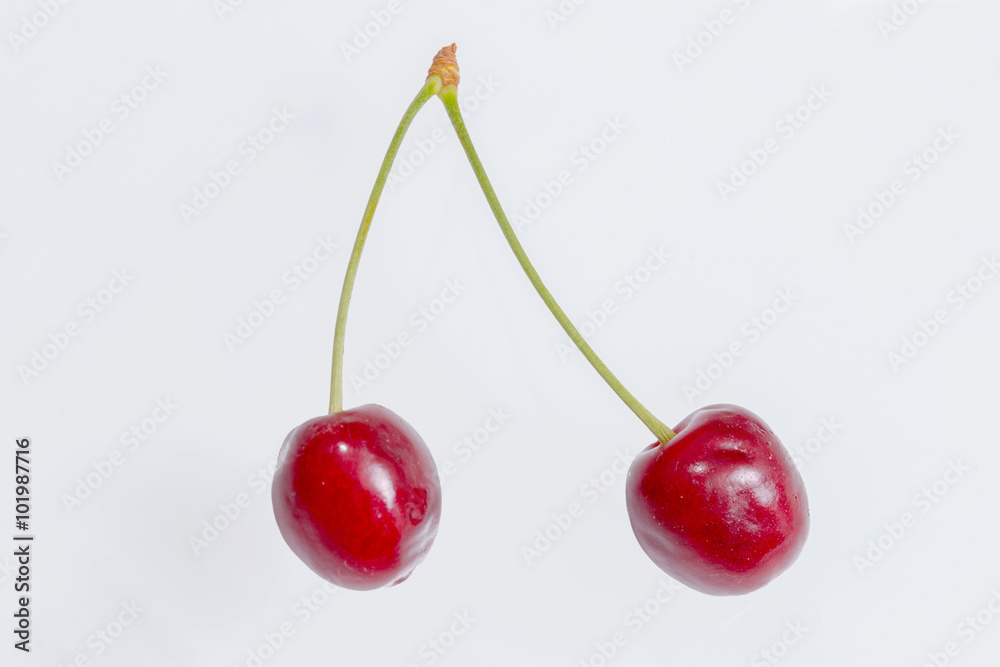 Couple of cherries isolated Couple of cherries isolated
