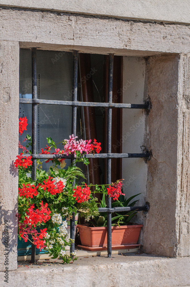 Flowers on windowsill and balcony in bright sunny day in Chioggia