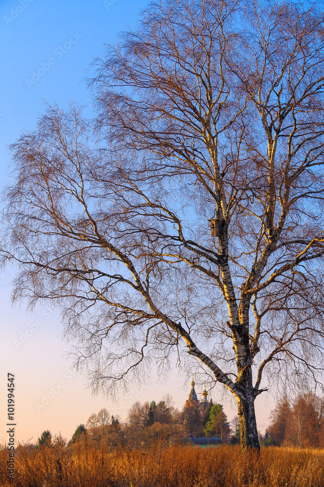 Fototapeta premium Country landscape. The tree with the birdhouse on the background of the sunset sky and the Church in the distance. 