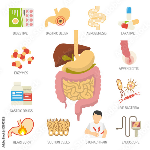  Digestive System Icons Set 