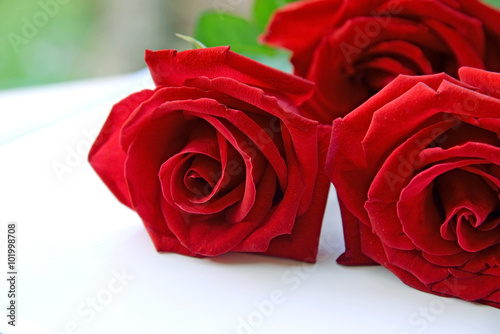 Red roses