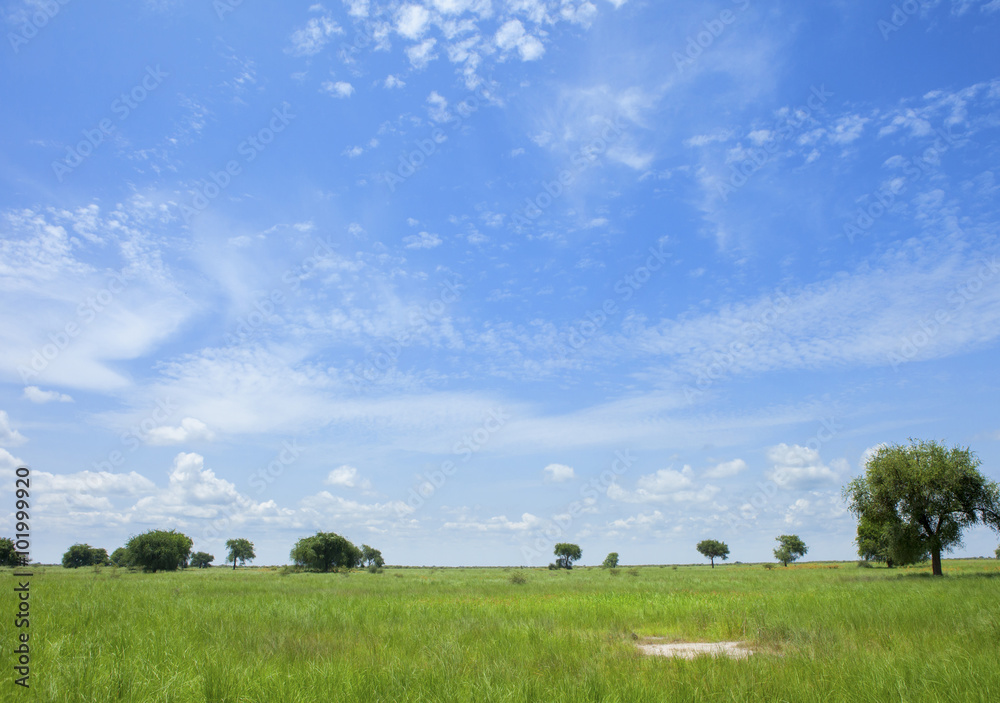 Fotografie beautiful landscape in south sudan