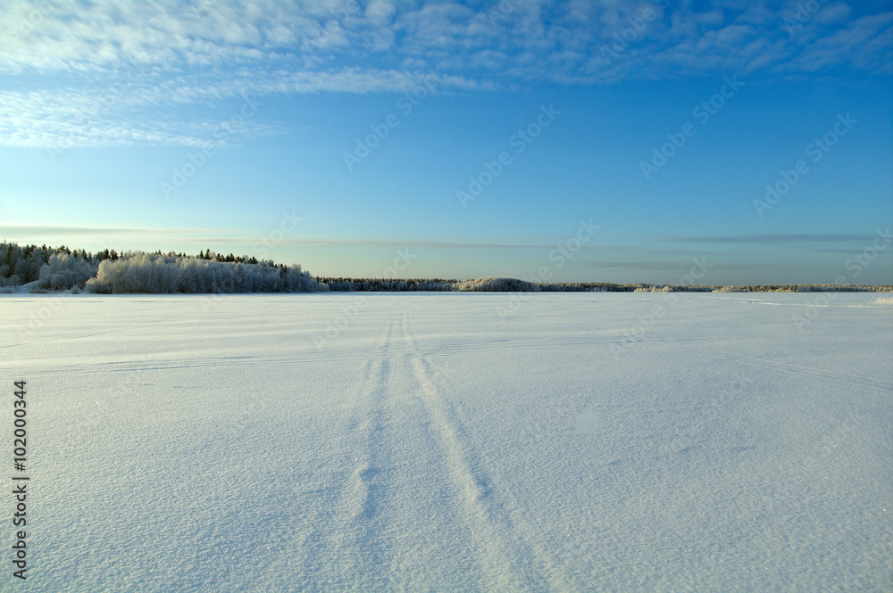 Fototapeta premium Winter landscape