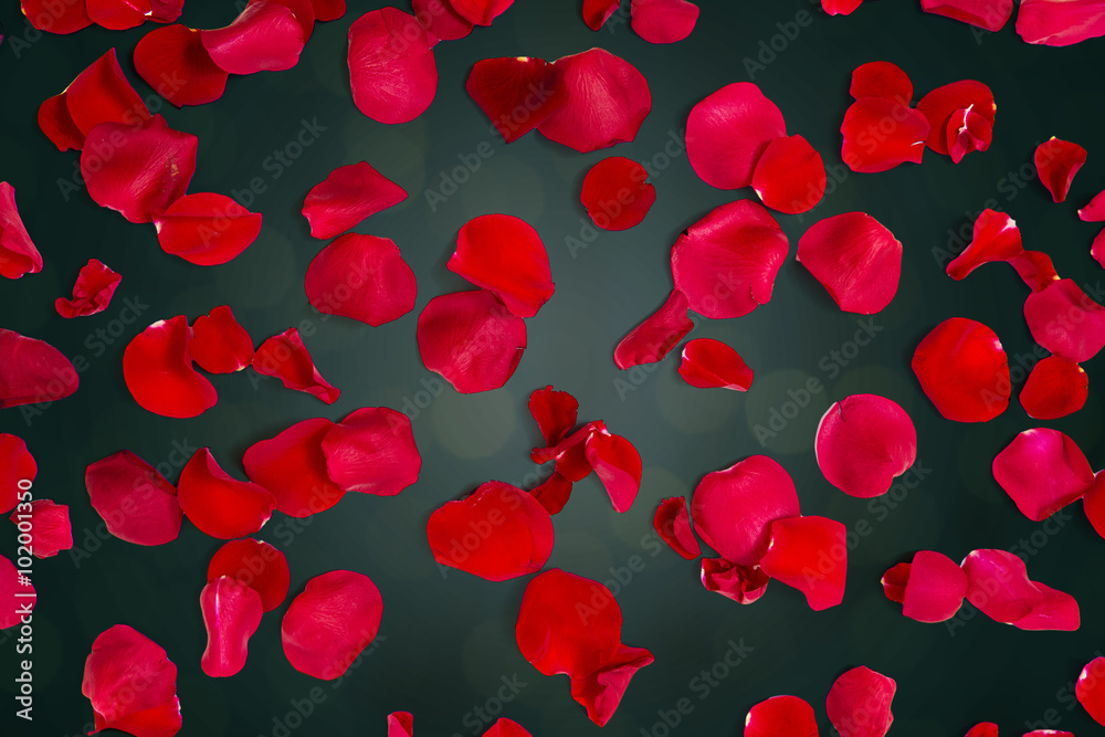 close up of red rose petals over lights background