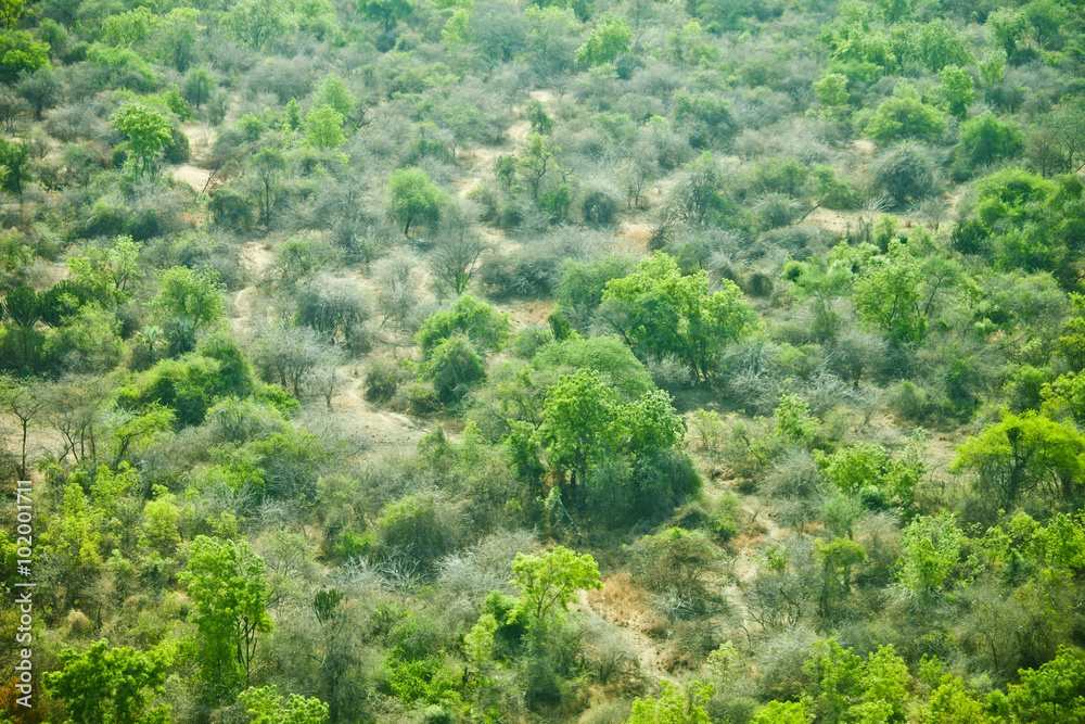 aerial view of wilderness in South Sudan