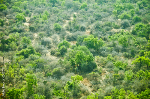 aerial view of wilderness in South Sudan