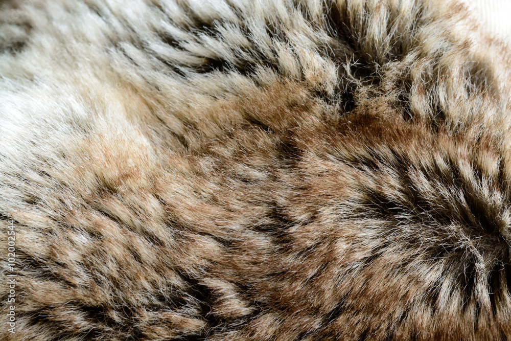 fur textured and background fur textured and background