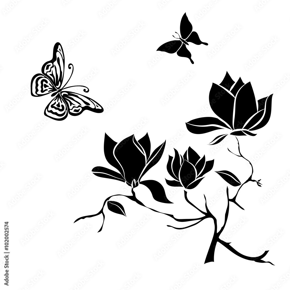 Obraz premium Flowering Branch of Magnolia on white background vector illustration