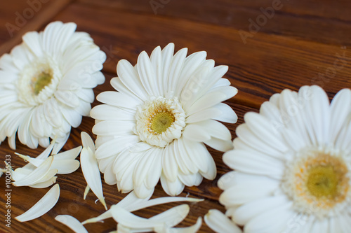 flowers on wooden background