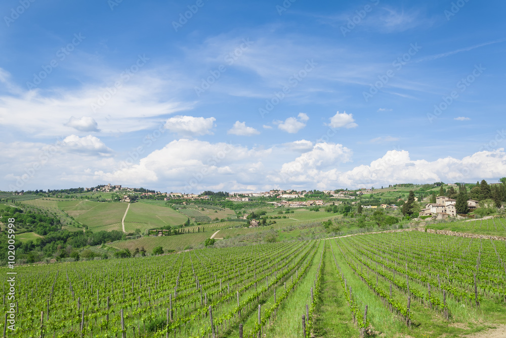 Cloudy sky in tuscan vineyard