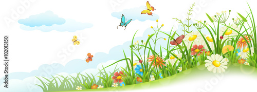 Green spring summer meadow with grass, flowers, butterfly and clouds