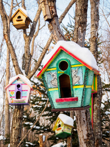 birdhouse in a tree close up