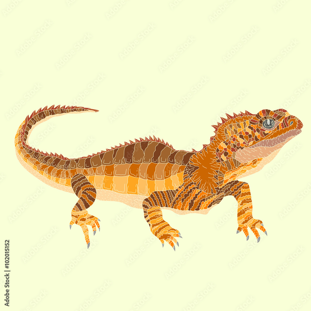 Naklejka premium tuatara lizard 