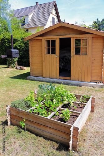 Jardin aménagé
