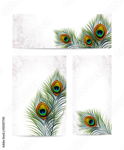 Beautiful vector peacock feathers on retro background with space for text. EPS 10