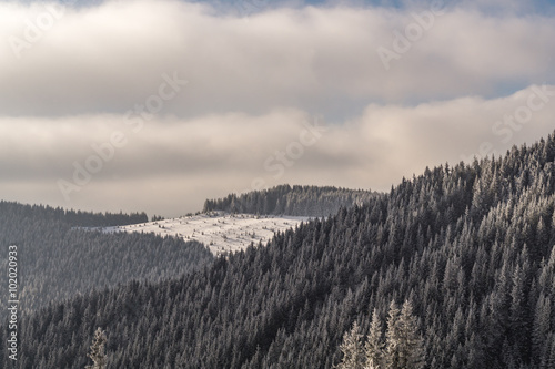 Winter Carpathian mountains with hills, snowy forest and clouds in the sky