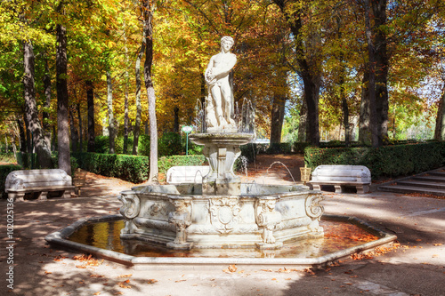 Apollo fountain in the gardens of the Royal Palace of Aranjuez. Province of Madrid, Spain photo