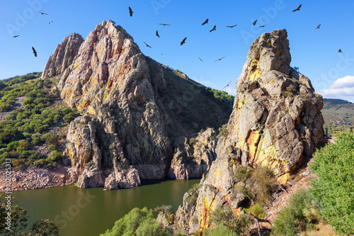 Mirador del Salto del Gitano in Monfrague National Park. Nest of a colony of black vultures over Tagus river. Province of Caceres, Spain