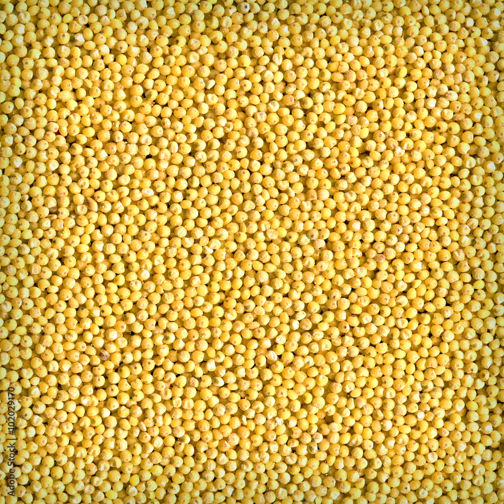 Grains millet as a background Grains millet as a background