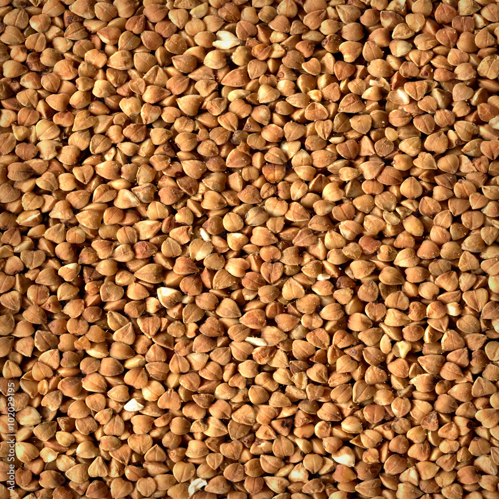 Buckwheat texture. Buckwheat texture.