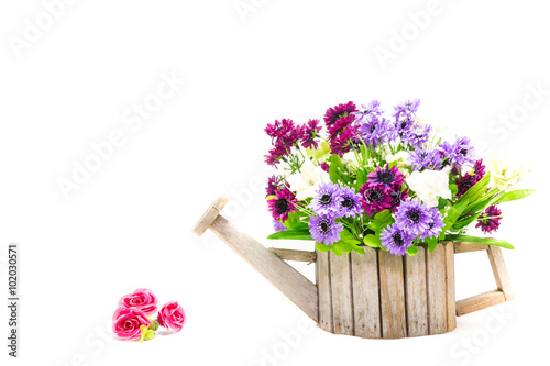 flowerpot in form of watering can on white background
