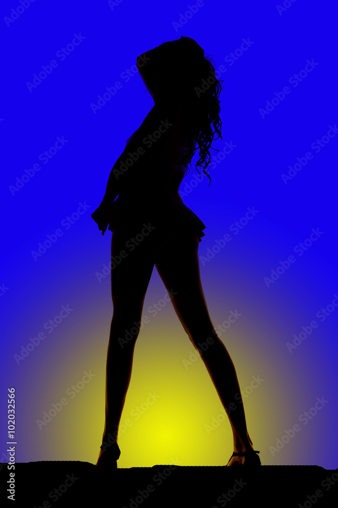 Silhouette of a woman from back in a short skirt