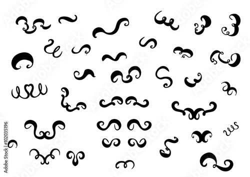 Hand drawn ink calligraphic swooshes, ribbons, swirls