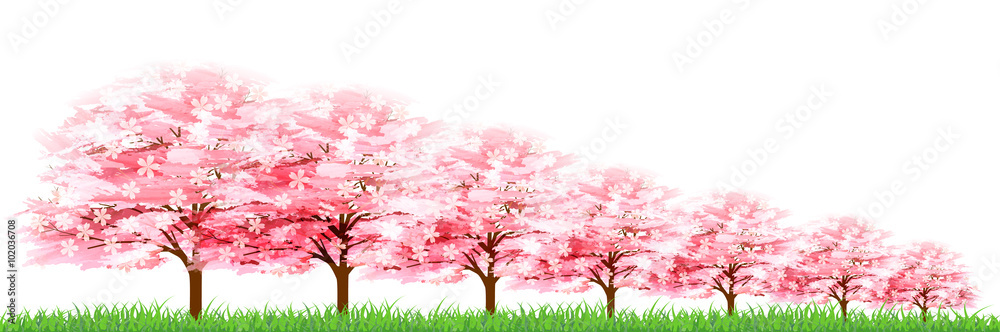 桜 春 花 背景 桜 春 花 背景