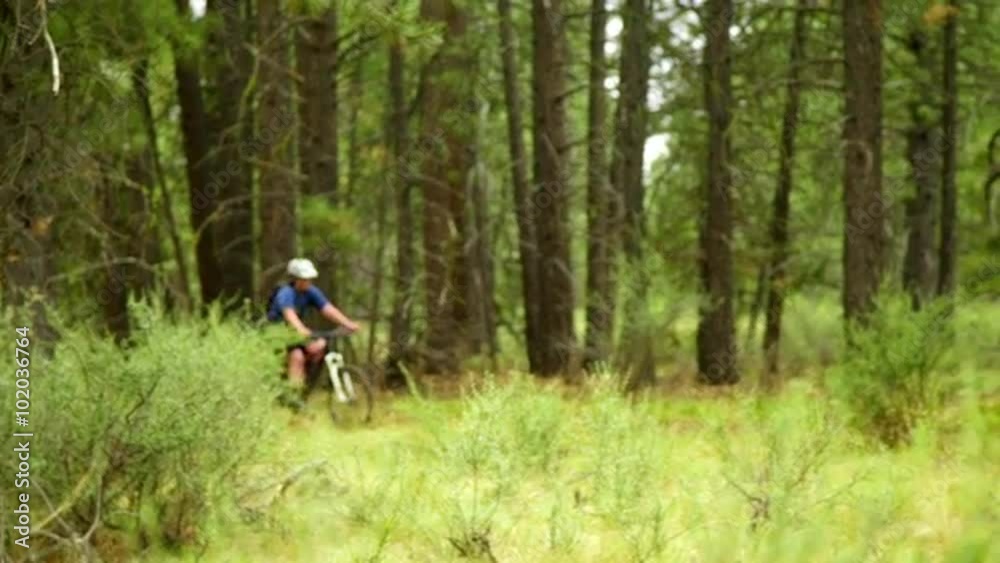 Female cyclist rides through forest Female cyclist rides through forest
