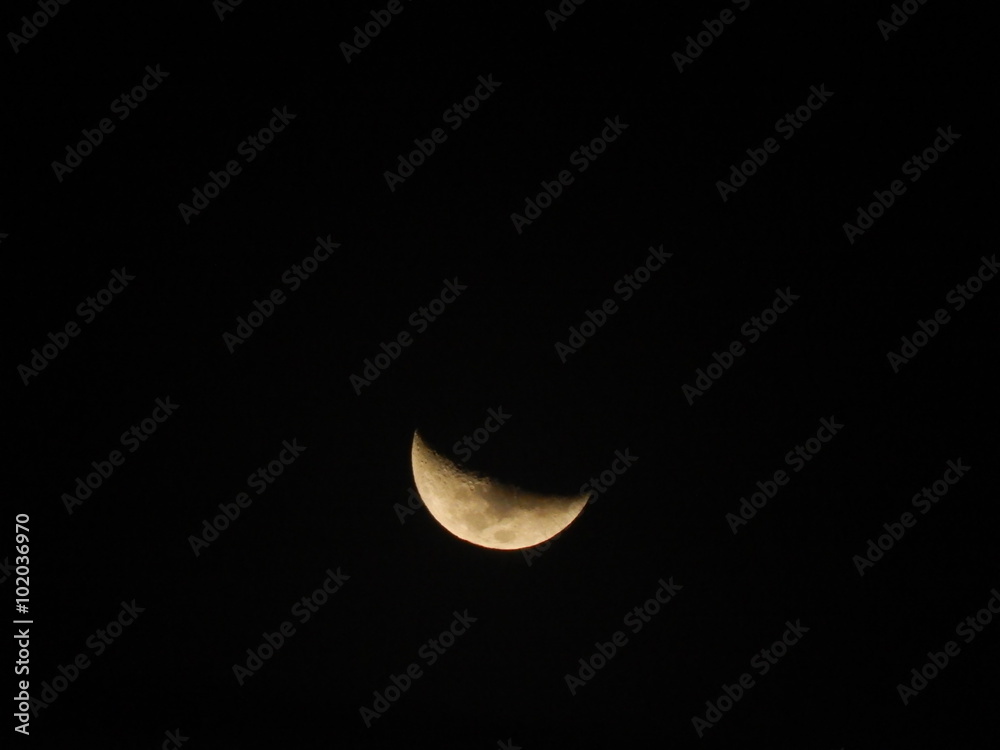 Obraz premium Half moon