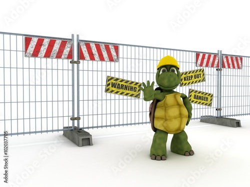 tortoise with construction barrier fence photo