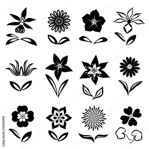 Flower icon set. Black cutout silhouettes on white background. Isolated symbols of flowers and leaves. Vector